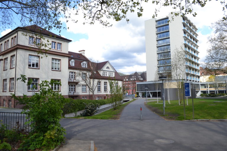 Institute of Physics – Freiburg – RTGDynCAM
